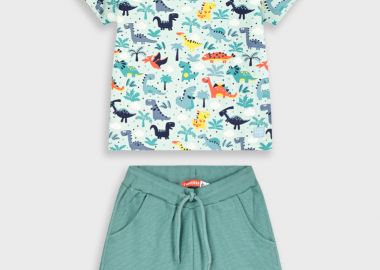 Σετ με τύπωμα | ΠΡΑΣΙΝΟ ΤΗΣ ΕΡΗΜΟΥ - Energiers - 